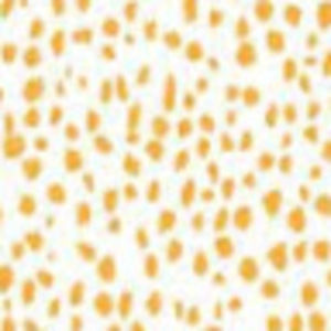 Meet your Posher, Aleena